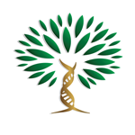 Медицинский центр «Древо жизни»