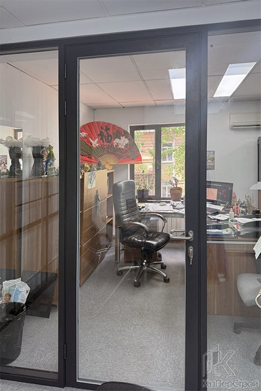 Дверь из профиля ALT-110 с двойным остеклением