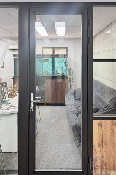 Дверь из профиля ALT-111 черного цвета с двойным остеклением