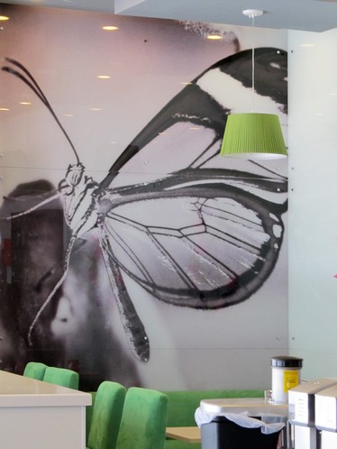 Стена облицованная стеклянной панелью с фотопечатью Бабочка